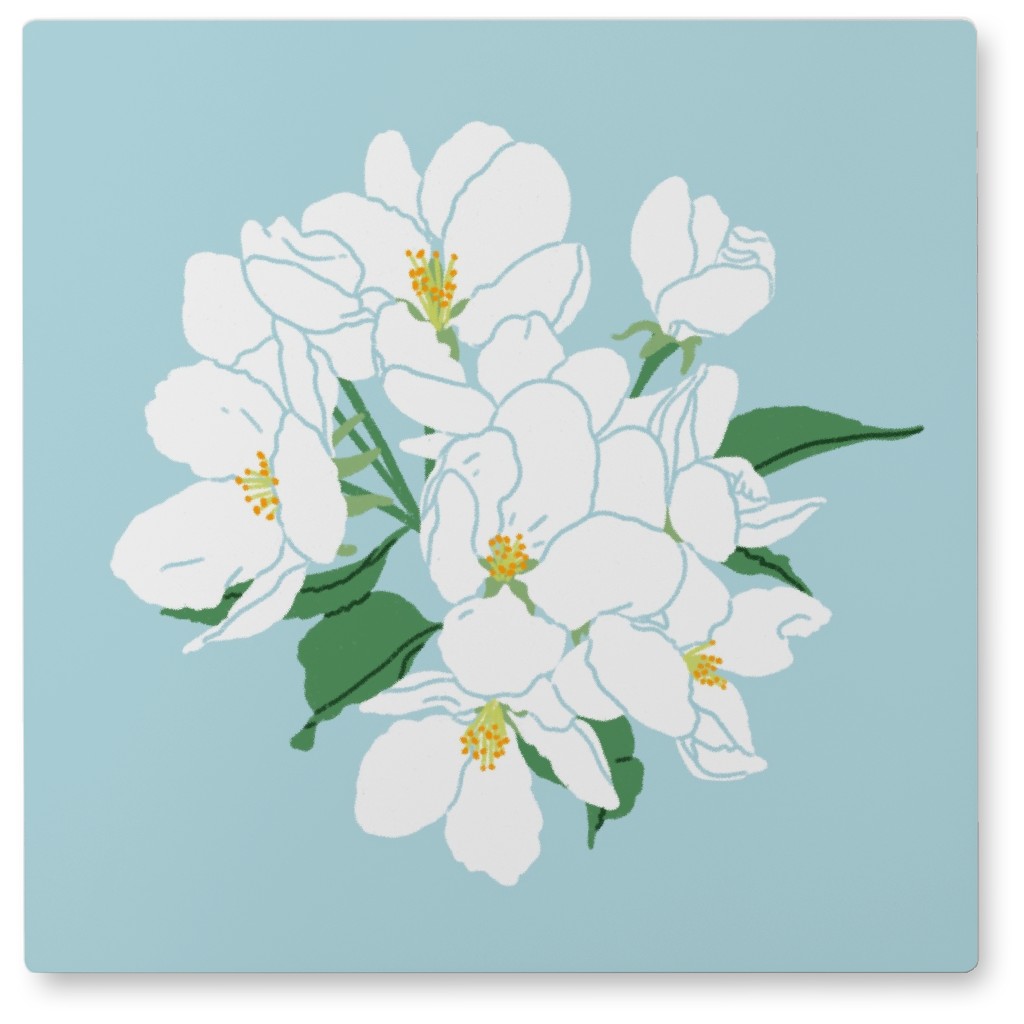 Apple Tree Blossoms - White and Blue Photo Tile, Metal, 8x8, Blue