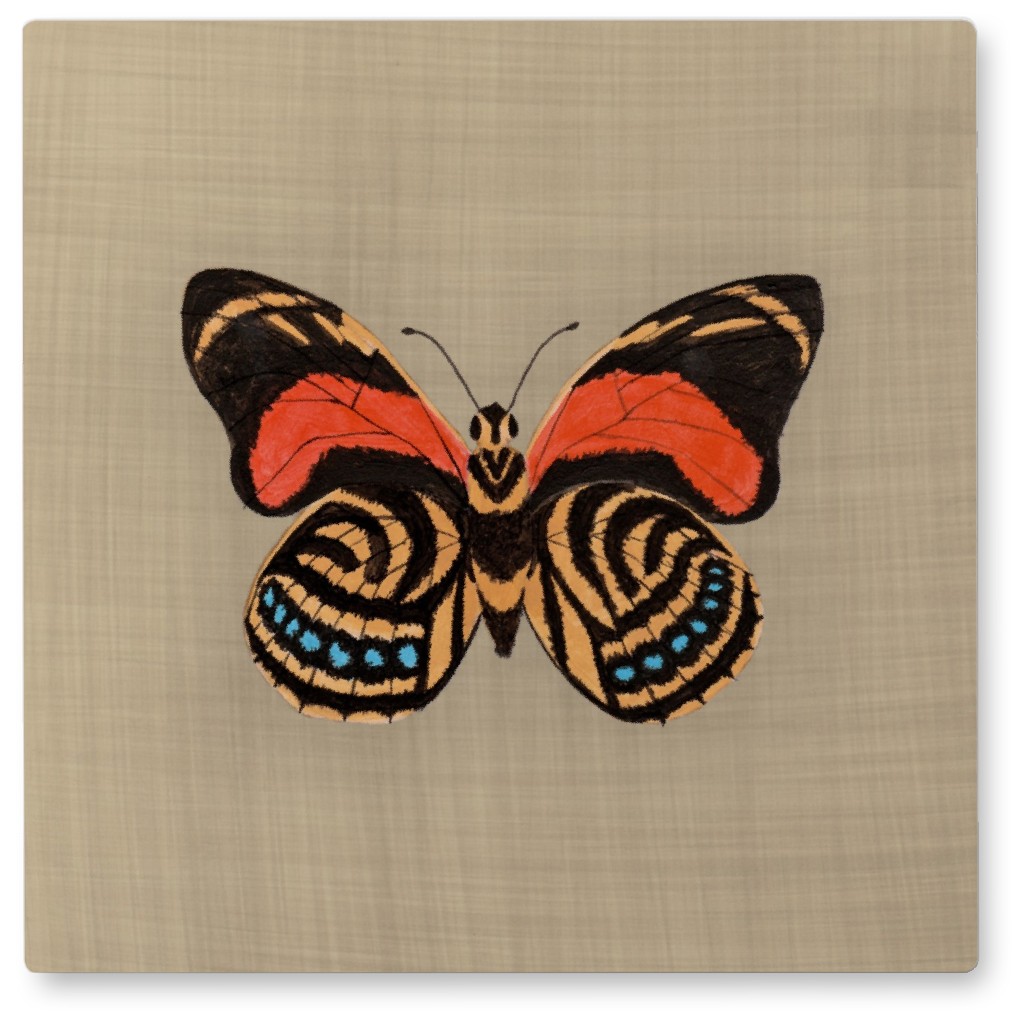 Butterfly Curio - Orange and Beige Photo Tile, Metal, 8x8, Beige, Pearl