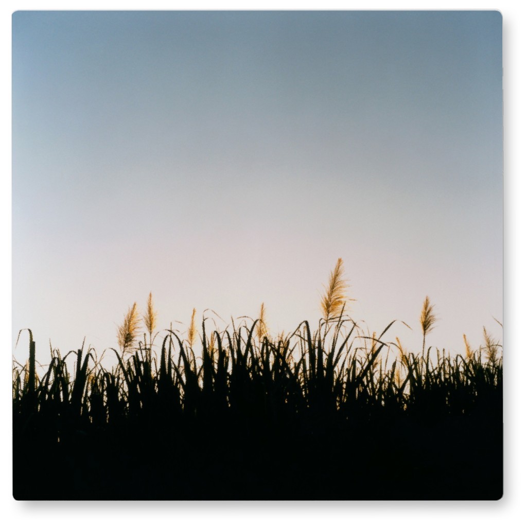 Grass Field Photo Tile, Metal, 8x8, Multicolor