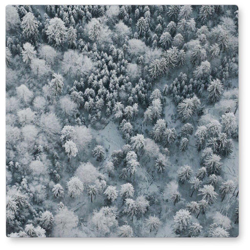 Snow Covered Trees Photo Tile, Metal, 8x8, Gray
