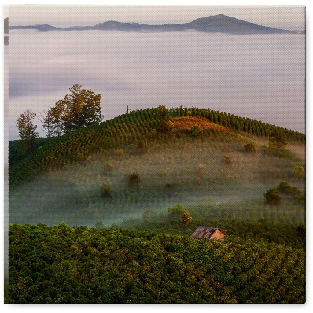 Foggy Countryside Photo Tile, Canvas, 8x8, Green