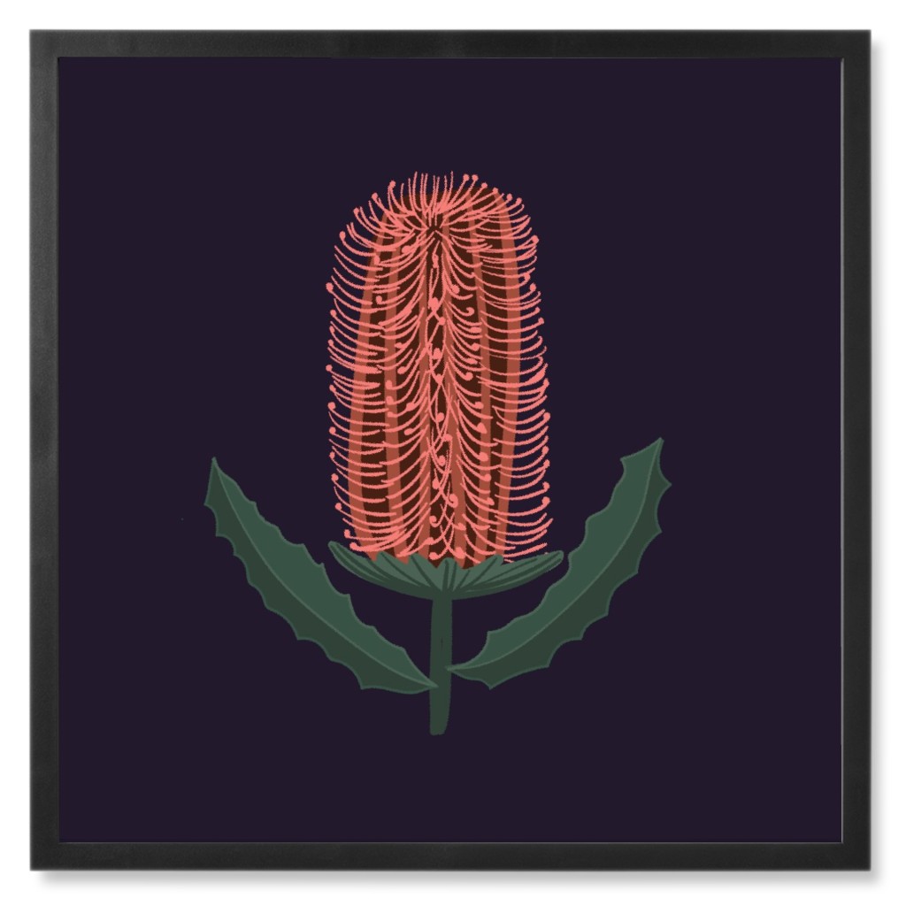 Banksia - Black and Pink Photo Tile, Black, Framed, 8x8, Black, Black