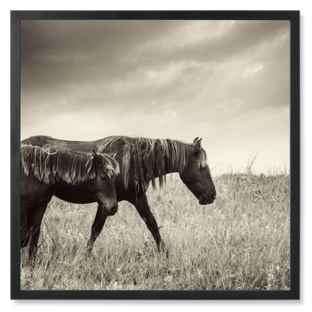 Two Horses in the Pasture Photo Tile, Black, Framed, 8x8, Gray, Gray