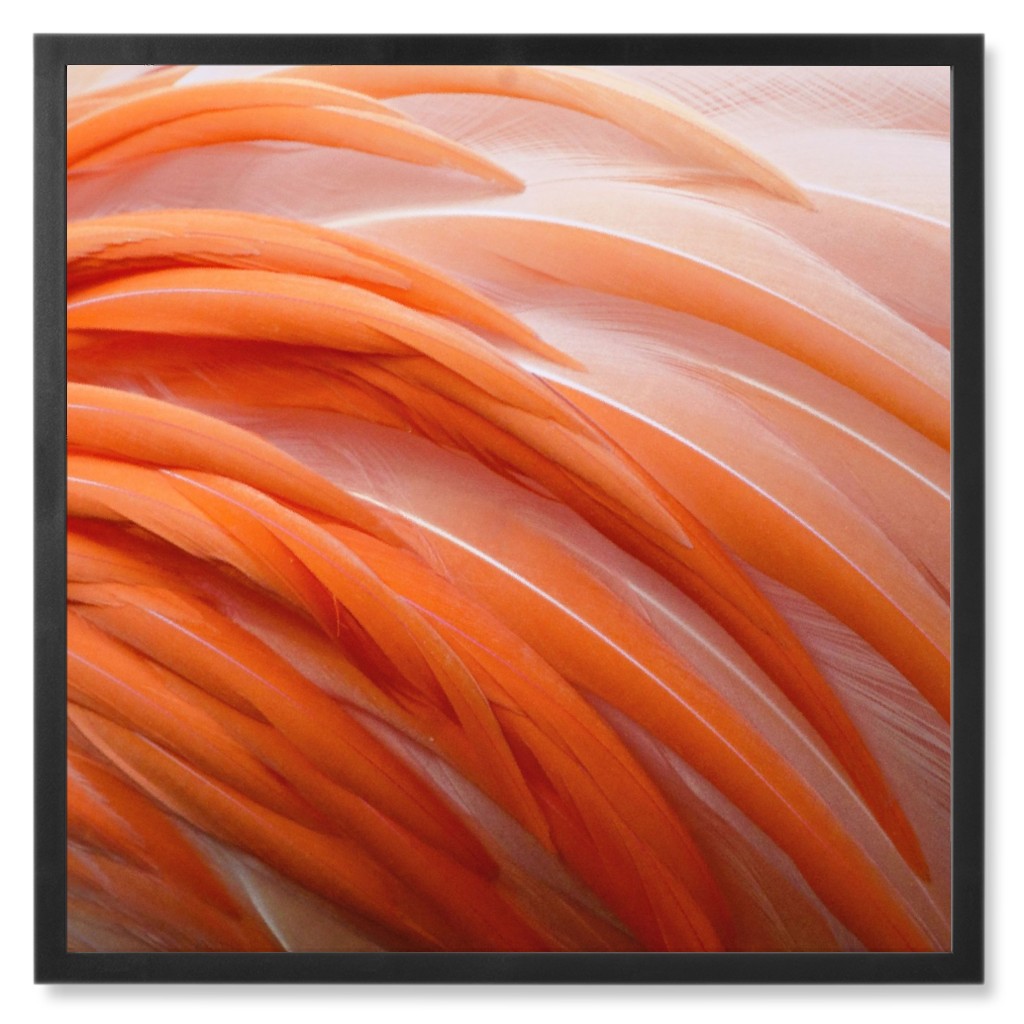 Flamingo Feathers Photo Tile, Black, Framed, 8x8, Pink, Bright Pink