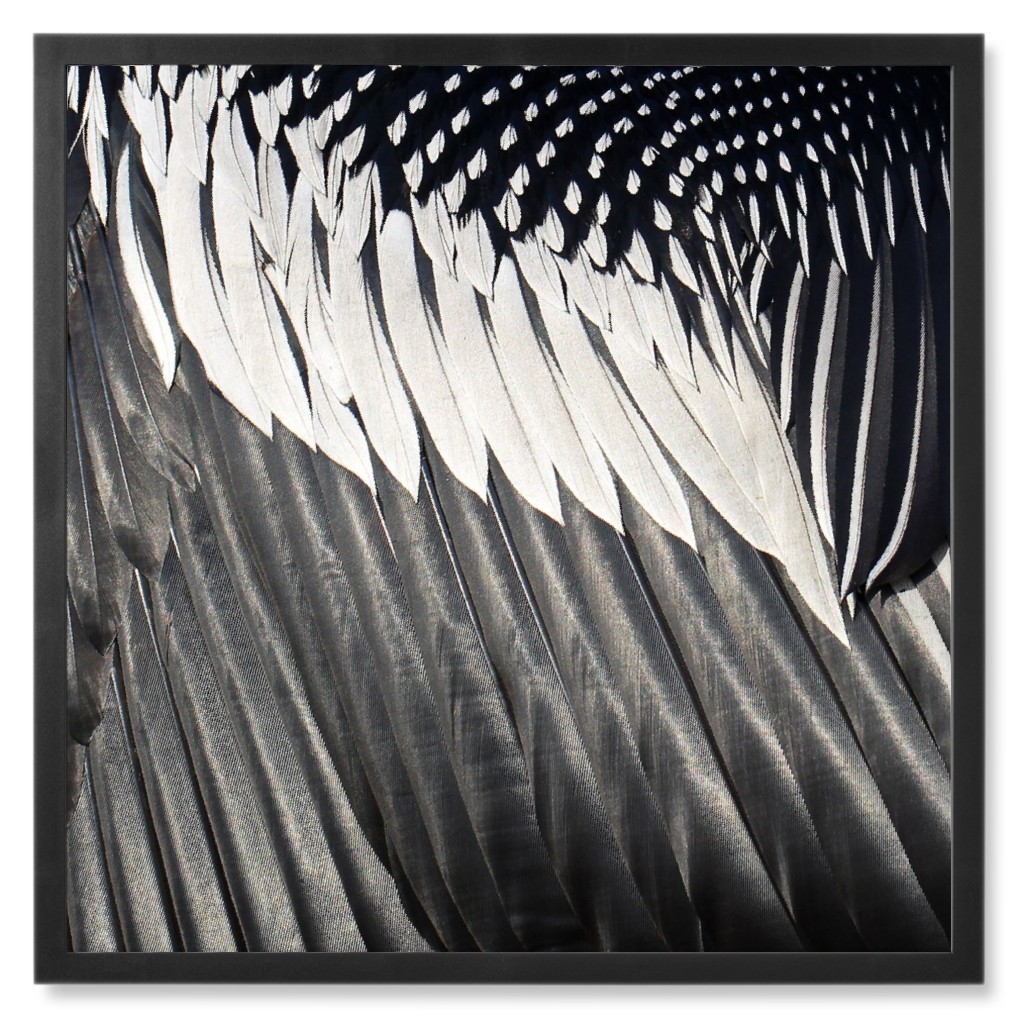 Micro View Feathers Photo Tile, Black, Framed, 8x8, Gray