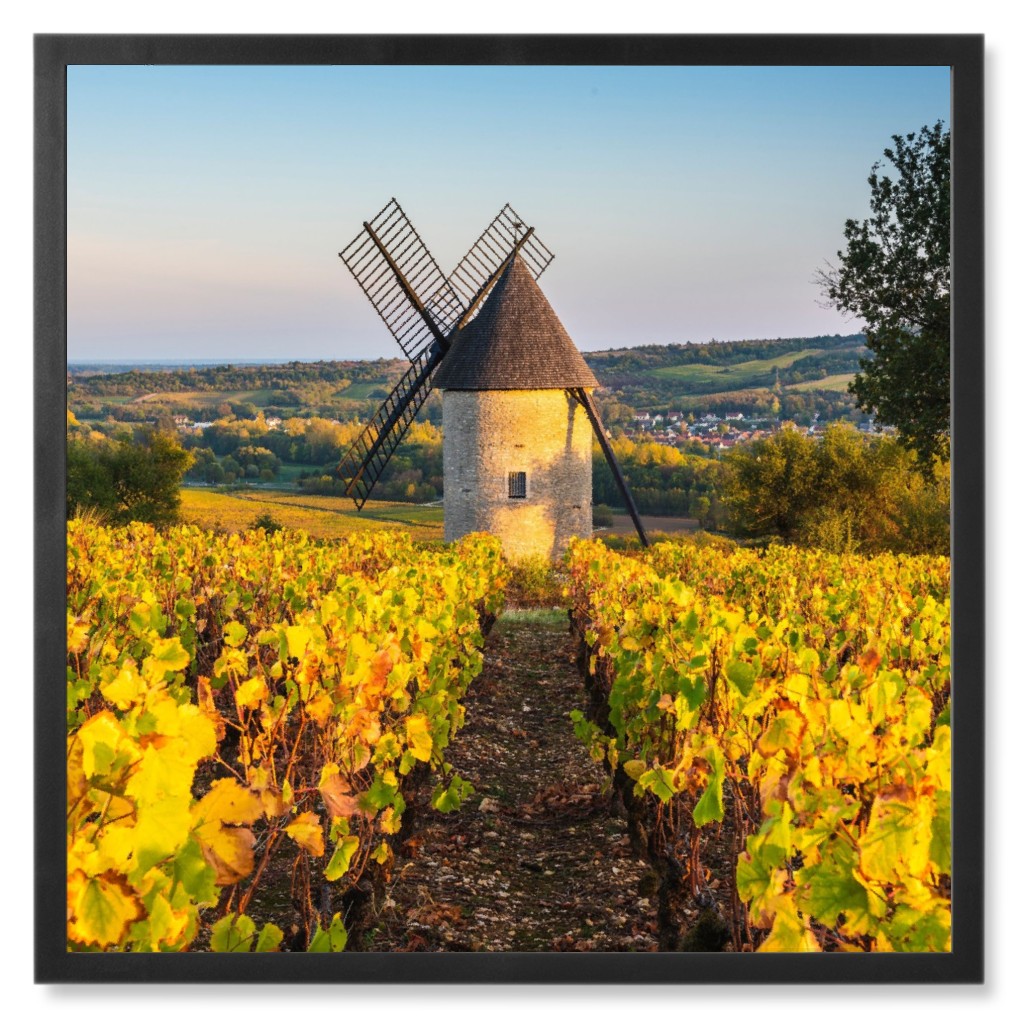 Windmill Field Photo Tile, Black, Framed, 8x8, Multicolor