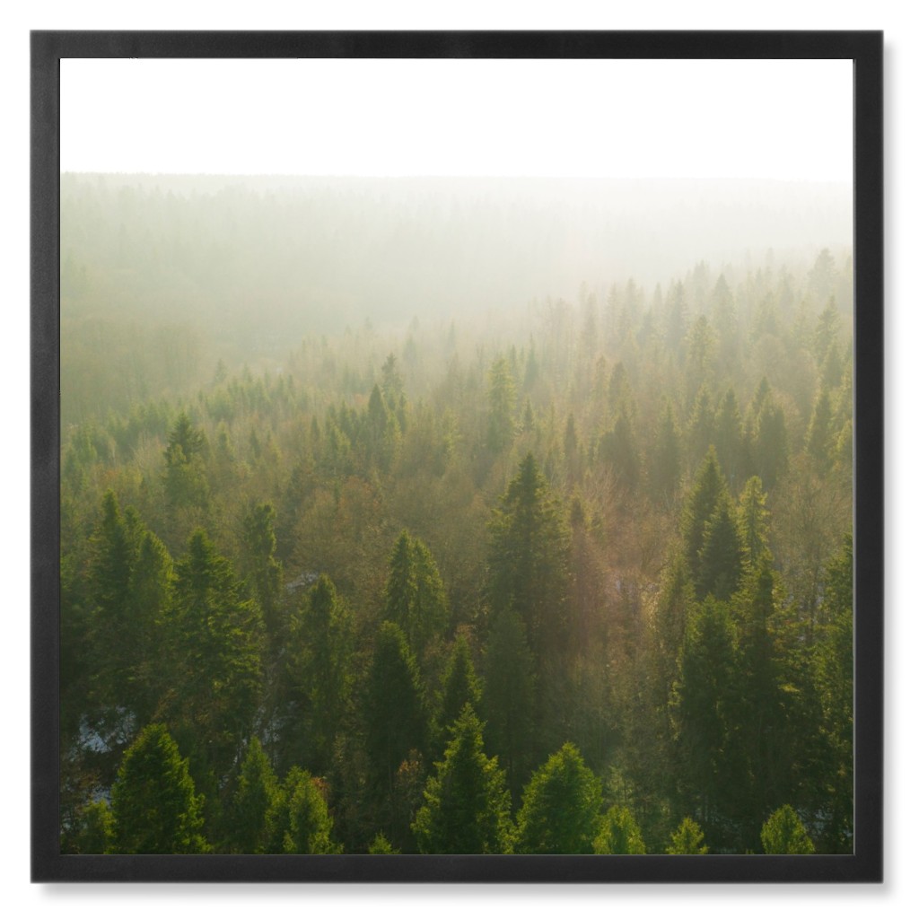 Misted Forest Photo Tile, Black, Framed, 8x8, Green, Classic Green