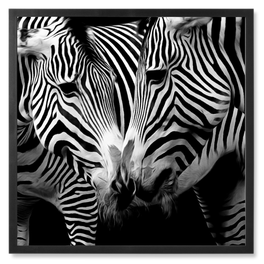Zebra Nose Kiss Photo Tile, Black, Framed, 8x8, Black, Black