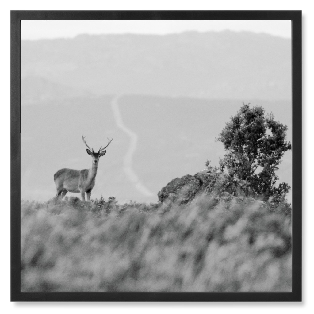 Deer in the Mountains - Black and White Photo Tile, Black, Framed, 8x8, Gray