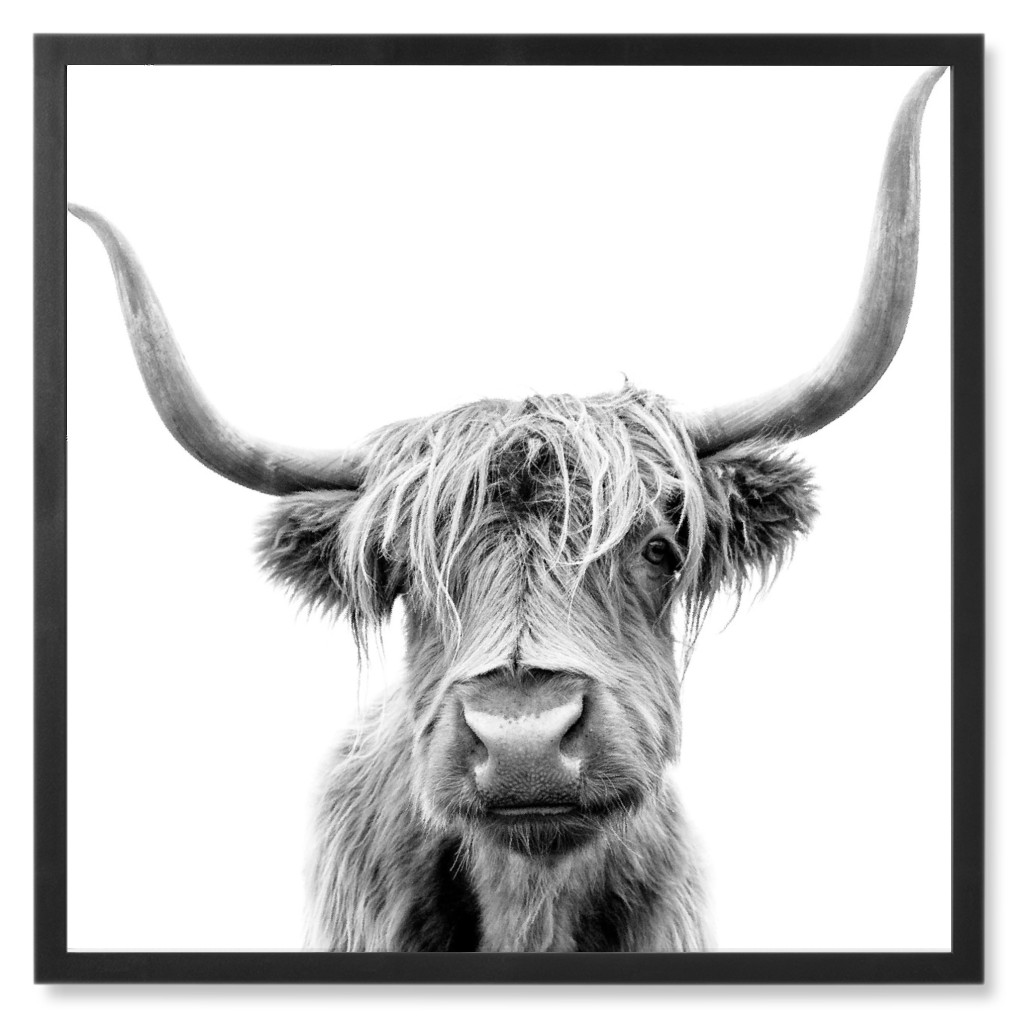 Highland Cow - Black and White Photo Tile, Black, Framed, 8x8, Black