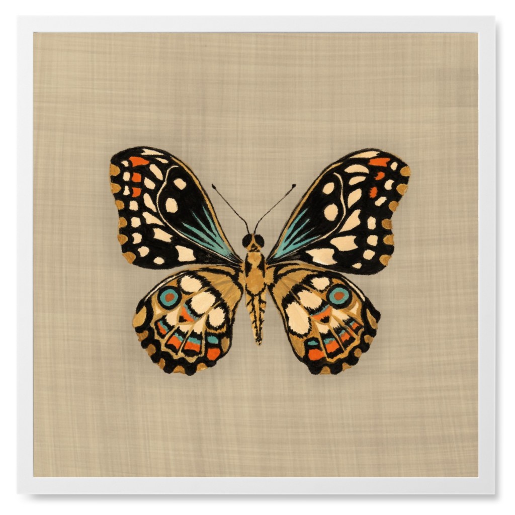 Butterfly Curio - Neutral Photo Tile, White, Framed, 8x8, Beige