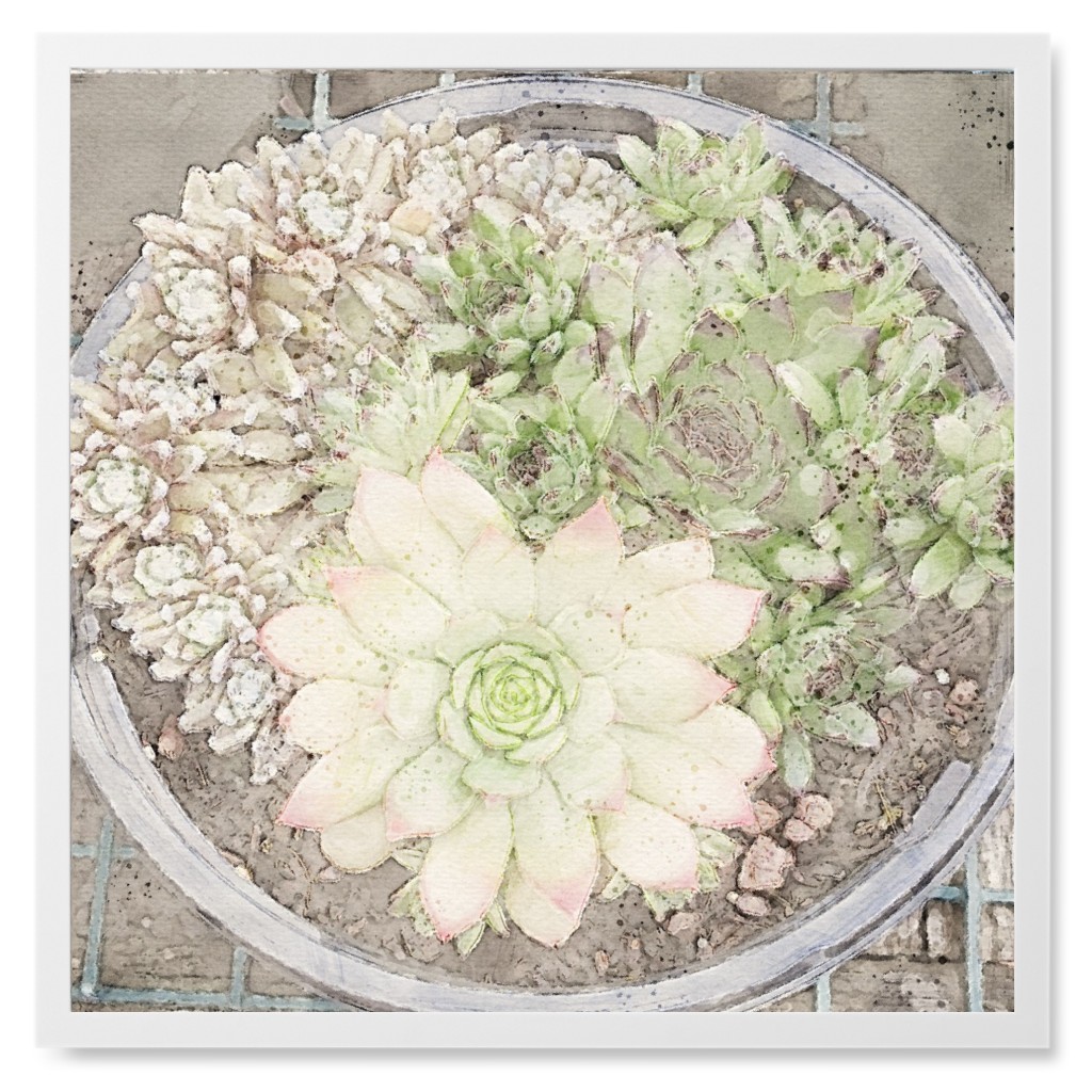 Succulent Watercolor - Gray Photo Tile, White, Framed, 8x8, Gray, Gray