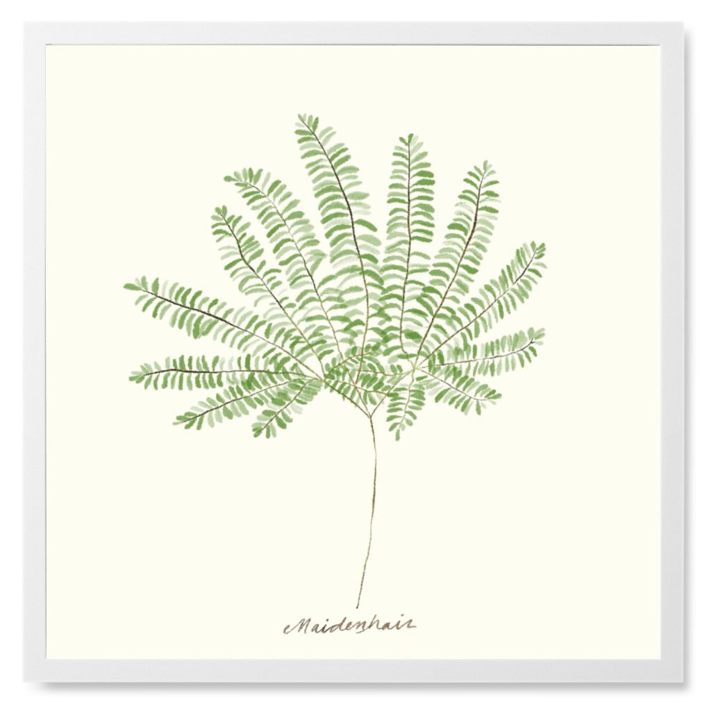 Maidenhair Fern - Green Photo Tile, White, Framed, 8x8, Green, Classic Green