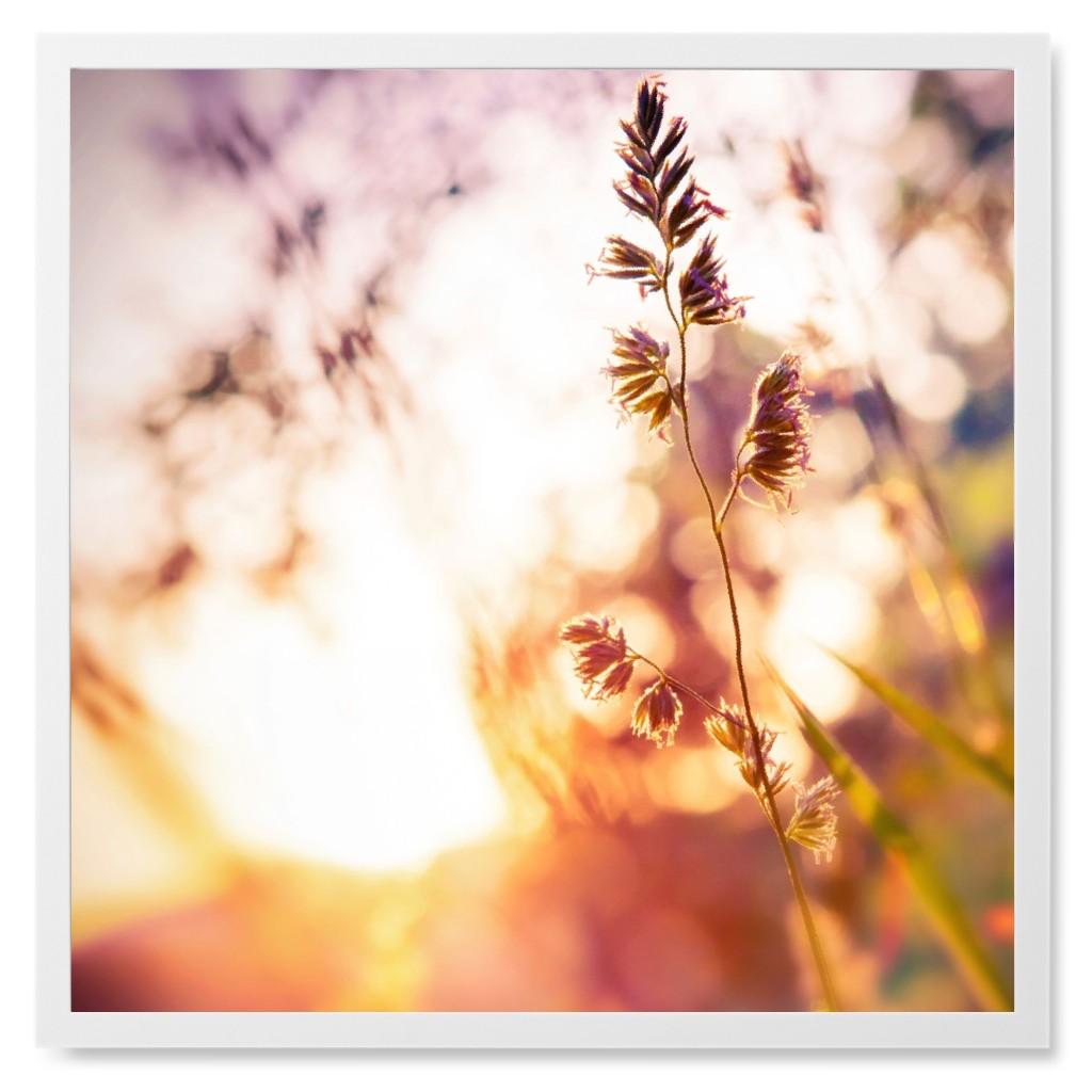 Wildflower Blur Photo Tile, White, Framed, 8x8, Multicolor