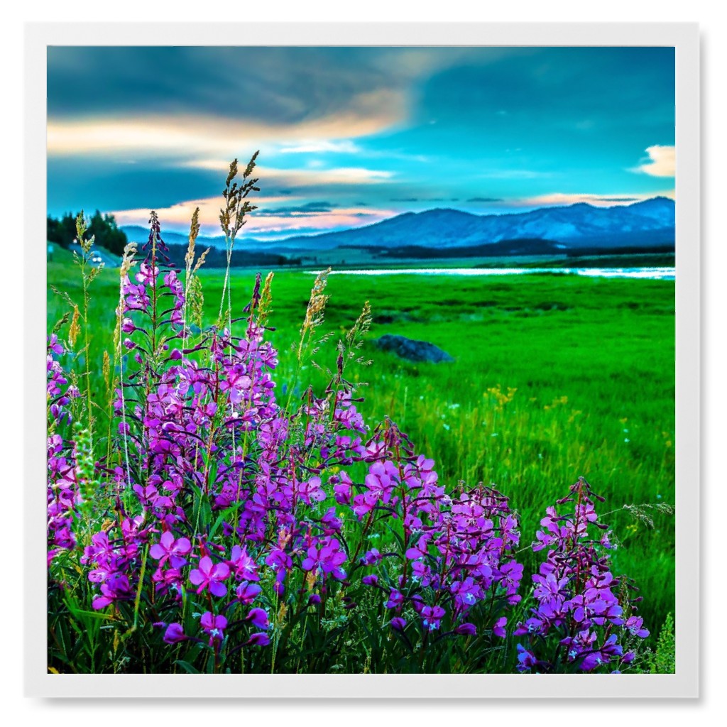 African Violets Photo Tile, White, Framed, 8x8, Multicolor