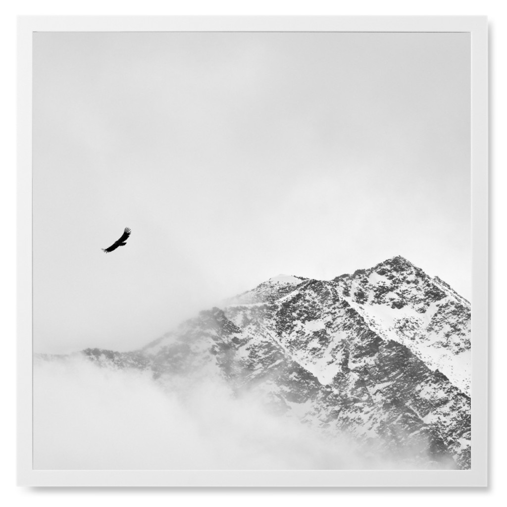 Soaring Snow Bid Photo Tile, White, Framed, 8x8, White