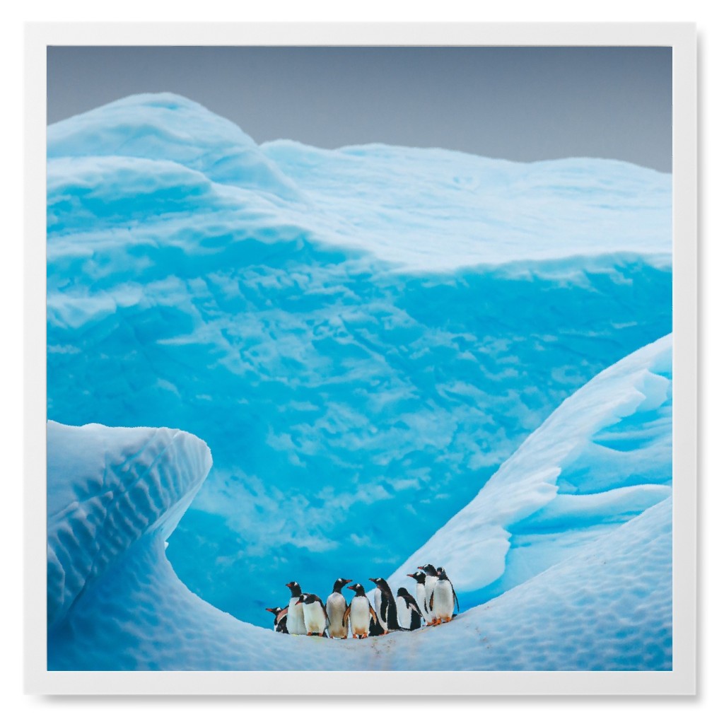 a Waddle of Penguins Photo Tile, White, Framed, 8x8, Blue