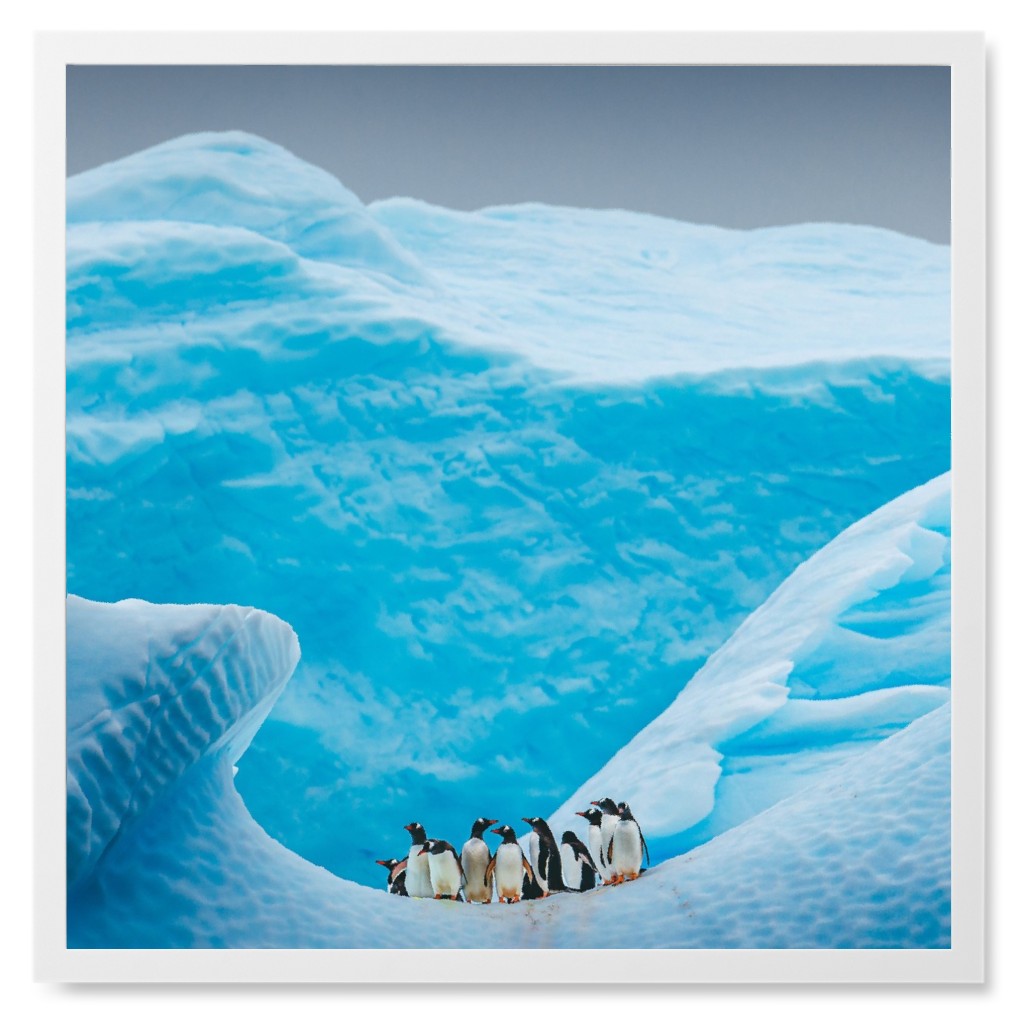 a Waddle of Penguins Photo Tile, White, Framed, 8x8, Blue, True Blue
