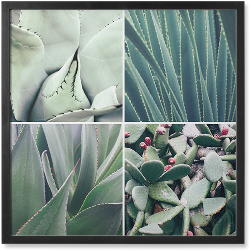 Four Top Photo Tile, Black, Framed, 8x8, Multicolor