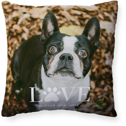 Dog Themed Pillows