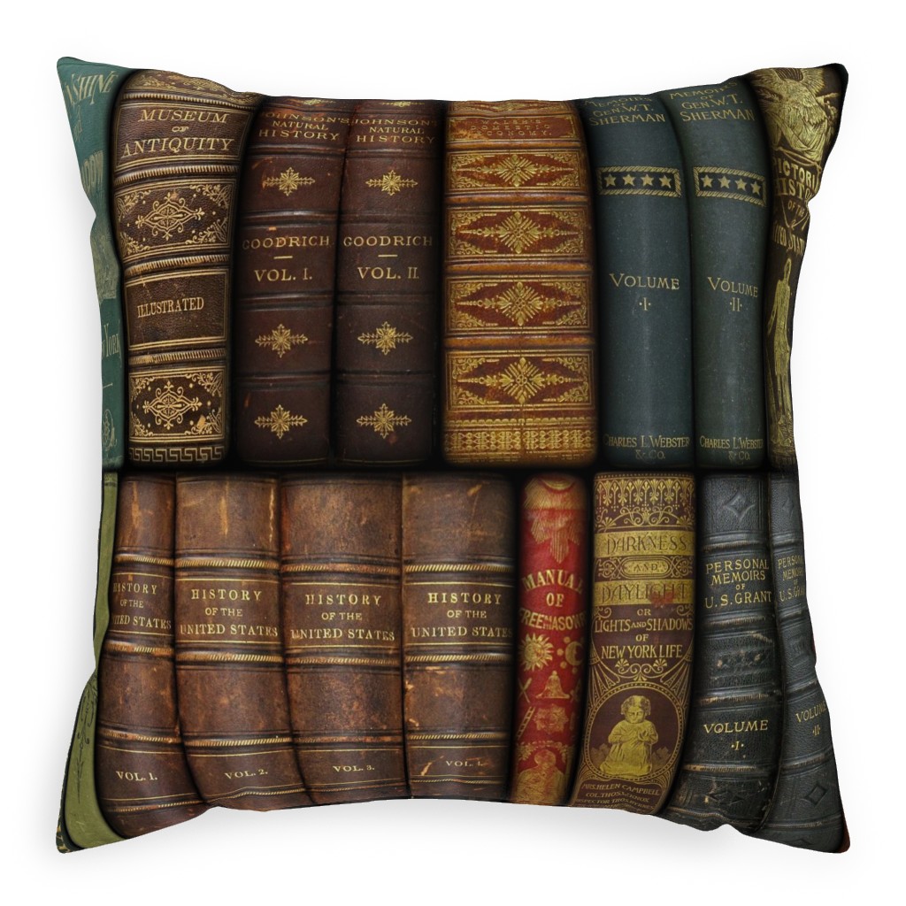 Monsieur Fancypantaloons' Instant Library - Brown Pillow, Woven, Beige, 20x20, Single Sided, Brown, Brown