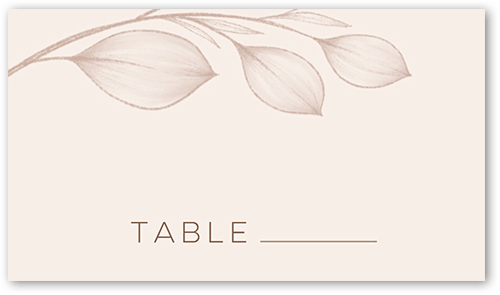 Novel Matrimony Wedding Place Card, Beige, Placecard, Matte, Signature Smooth Cardstock, Pueblo