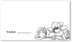 Marvelous Magnolia