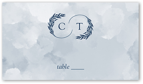 Reflective Rings Wedding Place Card, Blue, Placecard, Matte, Signature Smooth Cardstock, Navy