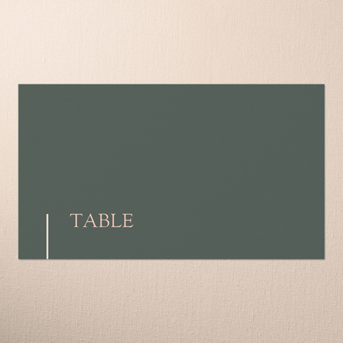 Divine Details Wedding Place Card, Green, Placecard, Write Your Own, Matte, Signature Smooth Cardstock, Quarry