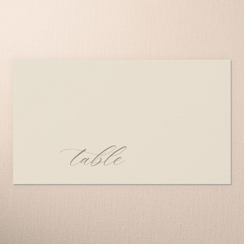 Luminous Border Wedding Place Card, Brown, Placecard, Matte, Signature Smooth Cardstock, Taupe