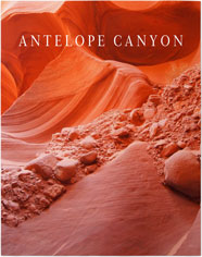 Gallery Text