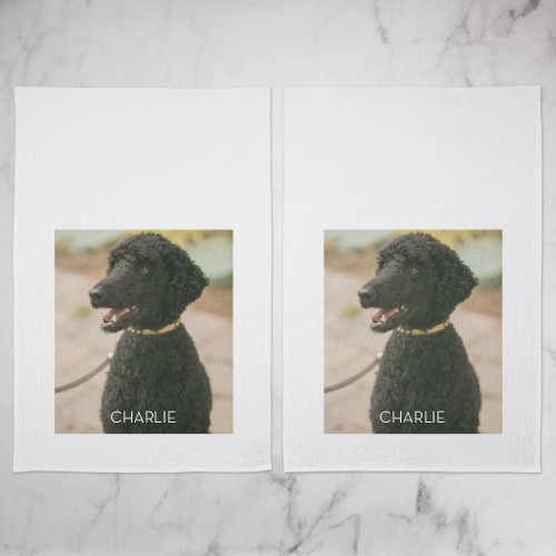 Pet Photo Gallery Tea Towel, Set of 2, Multicolor, multi