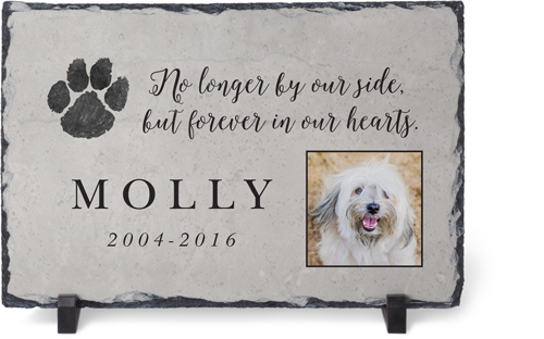 Pet Memorial Plaques