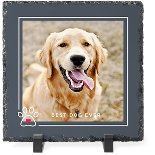 Pawframe Slate Plaque, 8x8, Gray