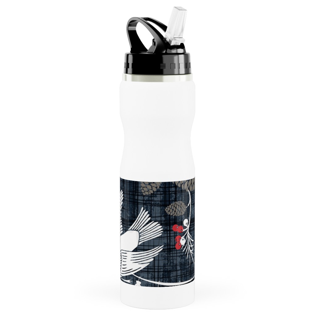 Merry Forest Stainless Steel Water Bottle with Straw, 25oz, With Straw, Black
