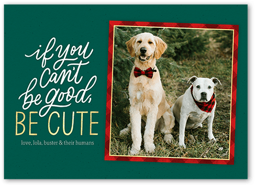 Framed Cute Holiday Card, Green, 5x7 Flat, Holiday, Luxe Double-Thick Cardstock, Square