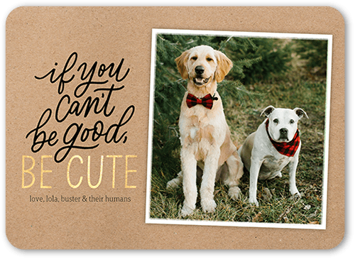 Framed Cute Holiday Card, Beige, 5x7 Flat, Holiday, 100% Recycled Cardstock , Rounded