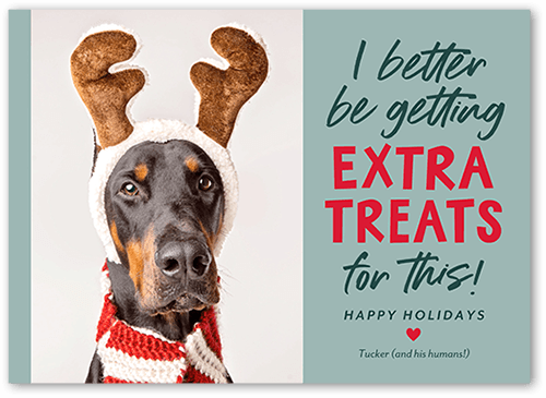 Funny Dog Holiday Card, Green, 5x7 Flat, Holiday, Matte, Signature Smooth Cardstock, Square