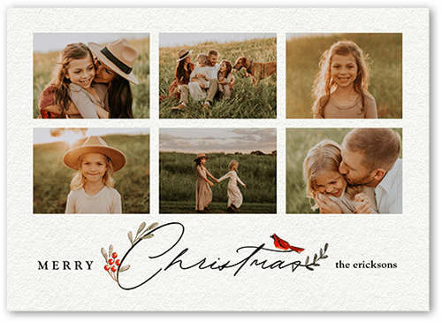 Bird and Holly Berry Holiday Card, White, 5x7 Flat, Christmas, 100% Recycled Cardstock , Square, White