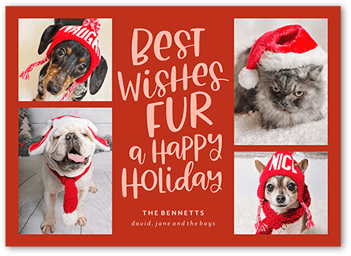 Festive Furry Fun Holiday Card, Red, 5x7 Flat, Holiday, Standard Smooth Cardstock, Square