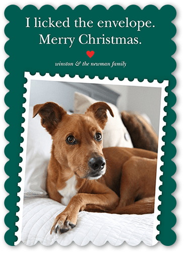 Festive Pet Stamp Holiday Card, Green, 5x7 Flat, Christmas, Matte, Signature Smooth Cardstock, Scallop, White
