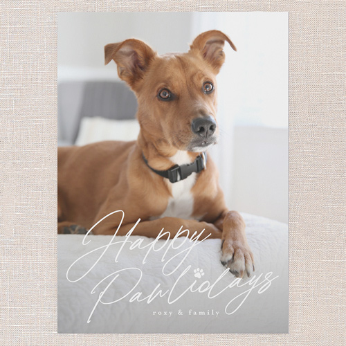 Happy Pawlidays Holiday Card, White, 5x7 Flat, Holiday, Matte, Signature Smooth Cardstock, Square