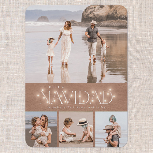 Rustic Bulbs Holiday Card, Brown, 5x7 Flat, Feliz Navidad, 100% Recycled Cardstock , Rounded, Brown