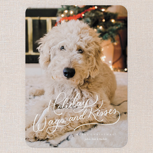 Wags and Wishes Holiday Card, White, 5x7 Flat, Holiday, Standard Smooth Cardstock, Rounded, White