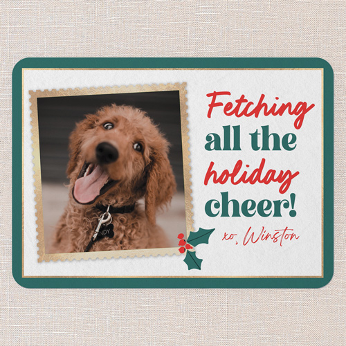 Cheerful Fetch Holiday Card, White, 5x7 Flat, Holiday, Standard Smooth Cardstock, Rounded, White