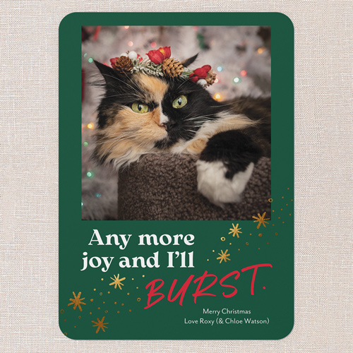 Joyful Whiskers Holiday Card, Green, 5x7 Flat, Christmas, 100% Recycled Cardstock , Rounded, Spruce Green