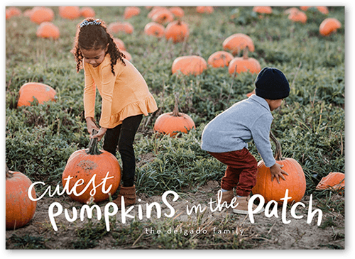 Cutest Pumpkins Halloween Card, White, 5x7 Flat, Luxe Double-Thick Cardstock, Square, White