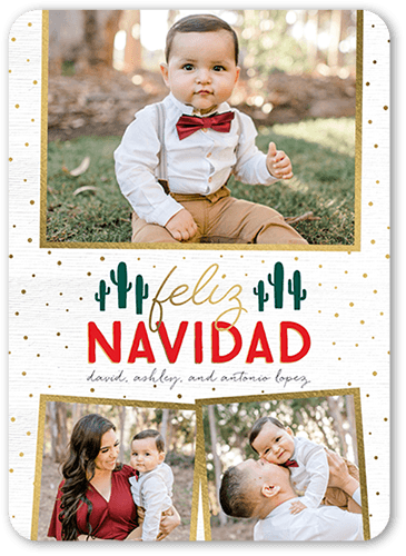 Speckled Succulent Tarjeta de Navidad, White, 5x7 Flat, Feliz Navidad, Standard Smooth Cardstock, Rounded