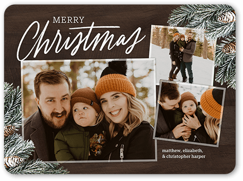 Frosted Pine Holiday Card, Brown, 6x8, Christmas, Matte, Signature Smooth Cardstock, Rounded