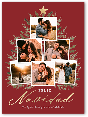 Decorated With Memories Holiday Card, Purple, 6x8 Flat, Feliz Navidad, Signature Smooth Cardstock, Square, Merlot